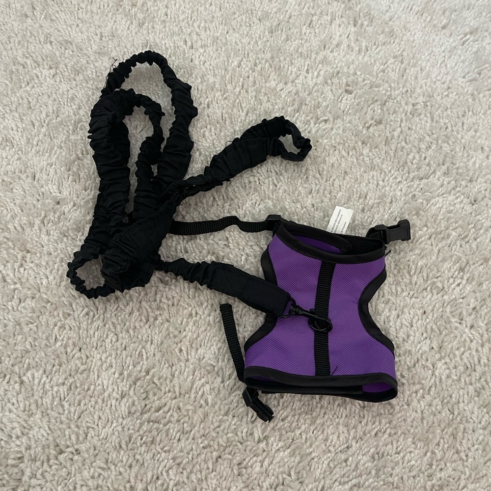 Purple and Black small Harness with Leash
